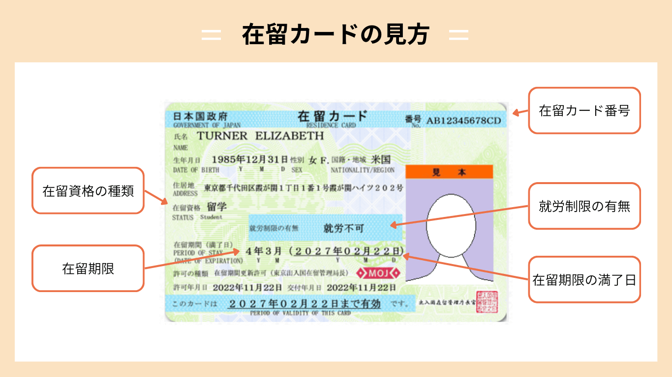外国人転職者の在留カードの見方